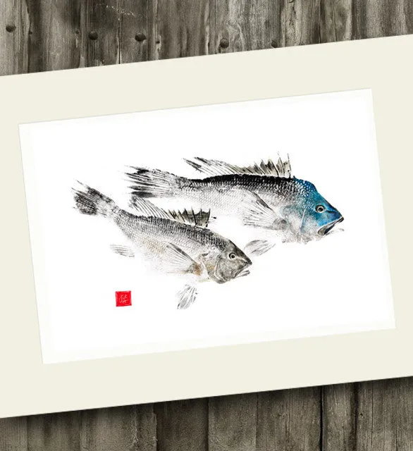 14 x11 Black Seabass Gyotaku Archival Print