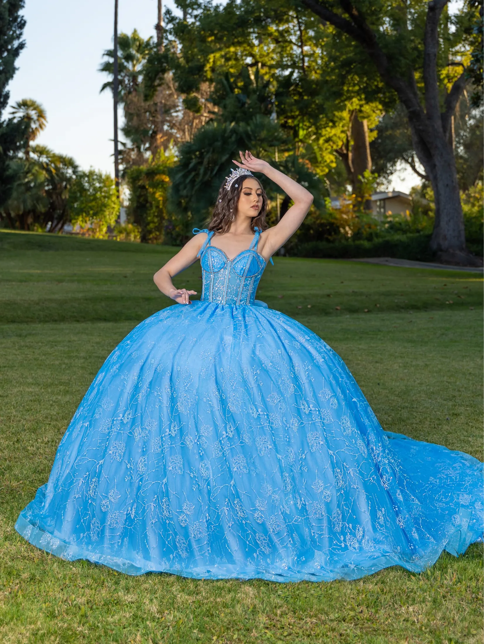 Applique Sleeveless Ball Gown by LizLuo Quince 26098