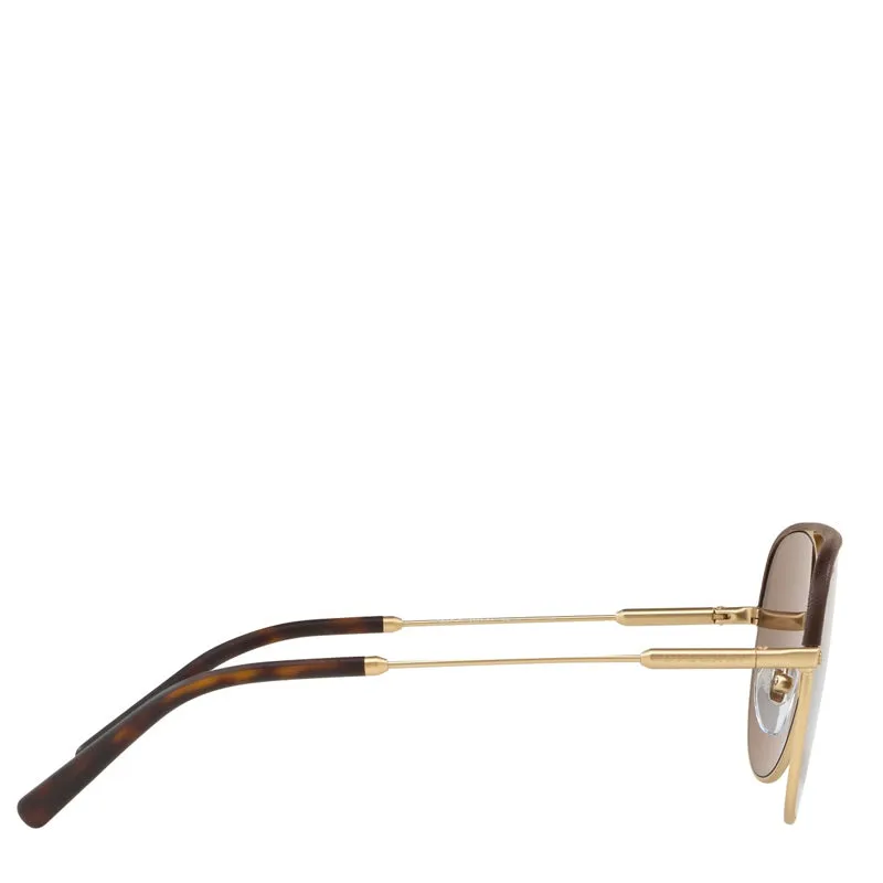 Bvlgari Metal Man Sunglass Brown/matte Pale Gold