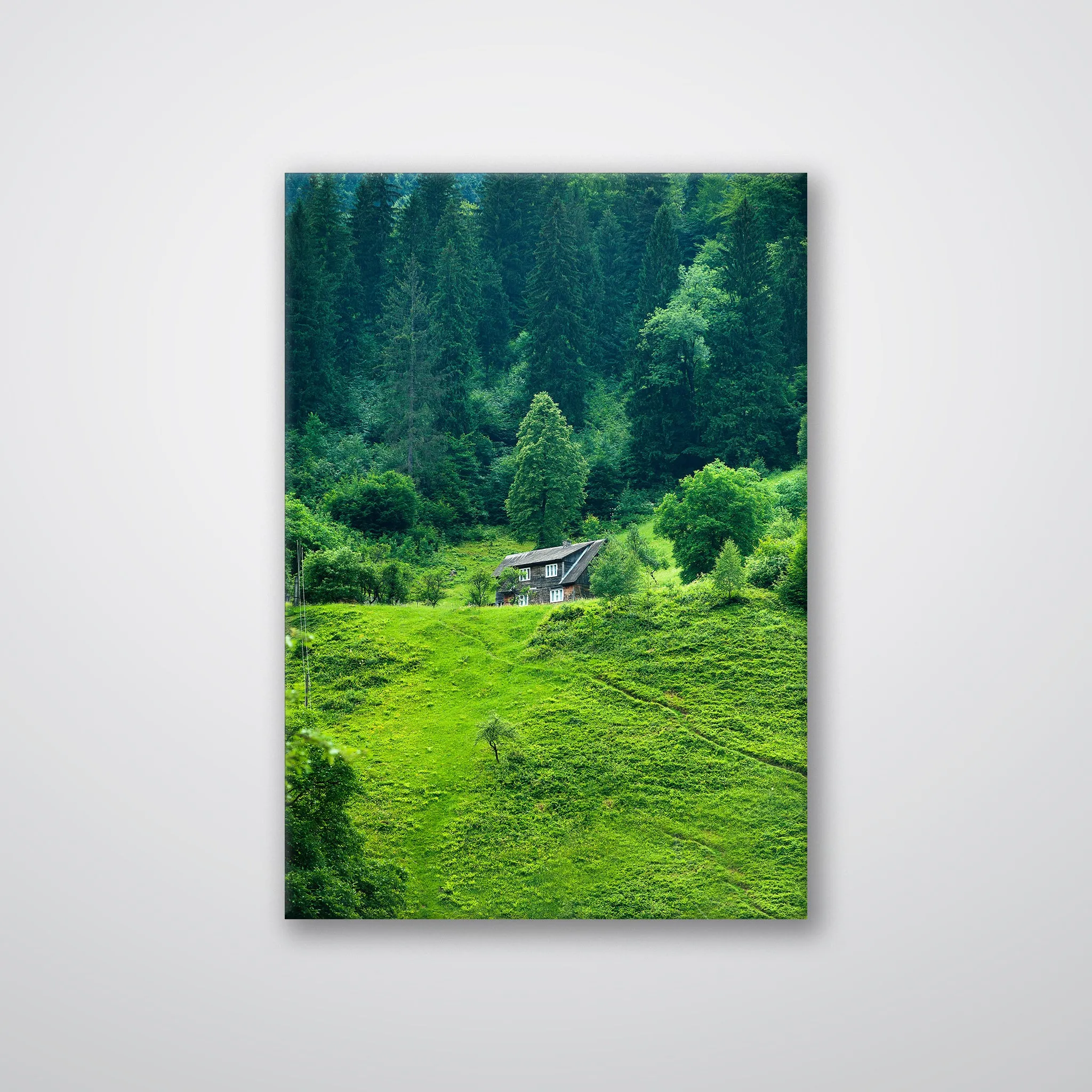 Forest House - Print