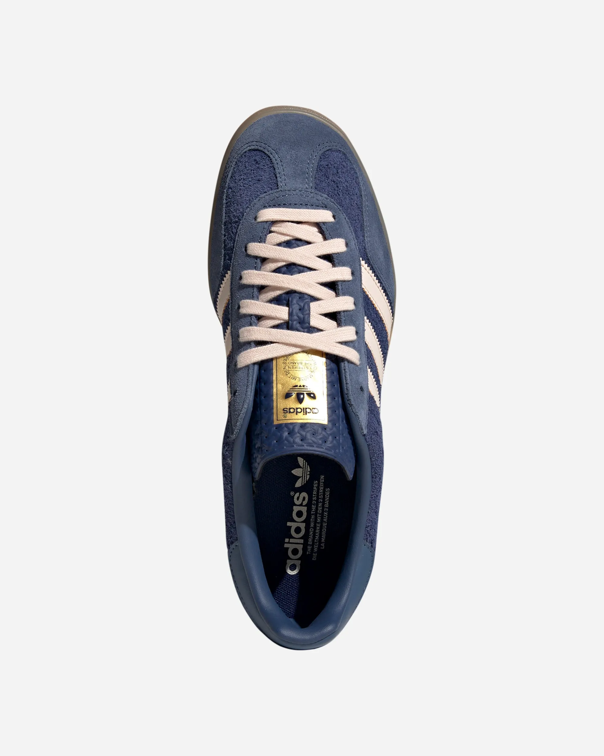 Gazelle Indoor