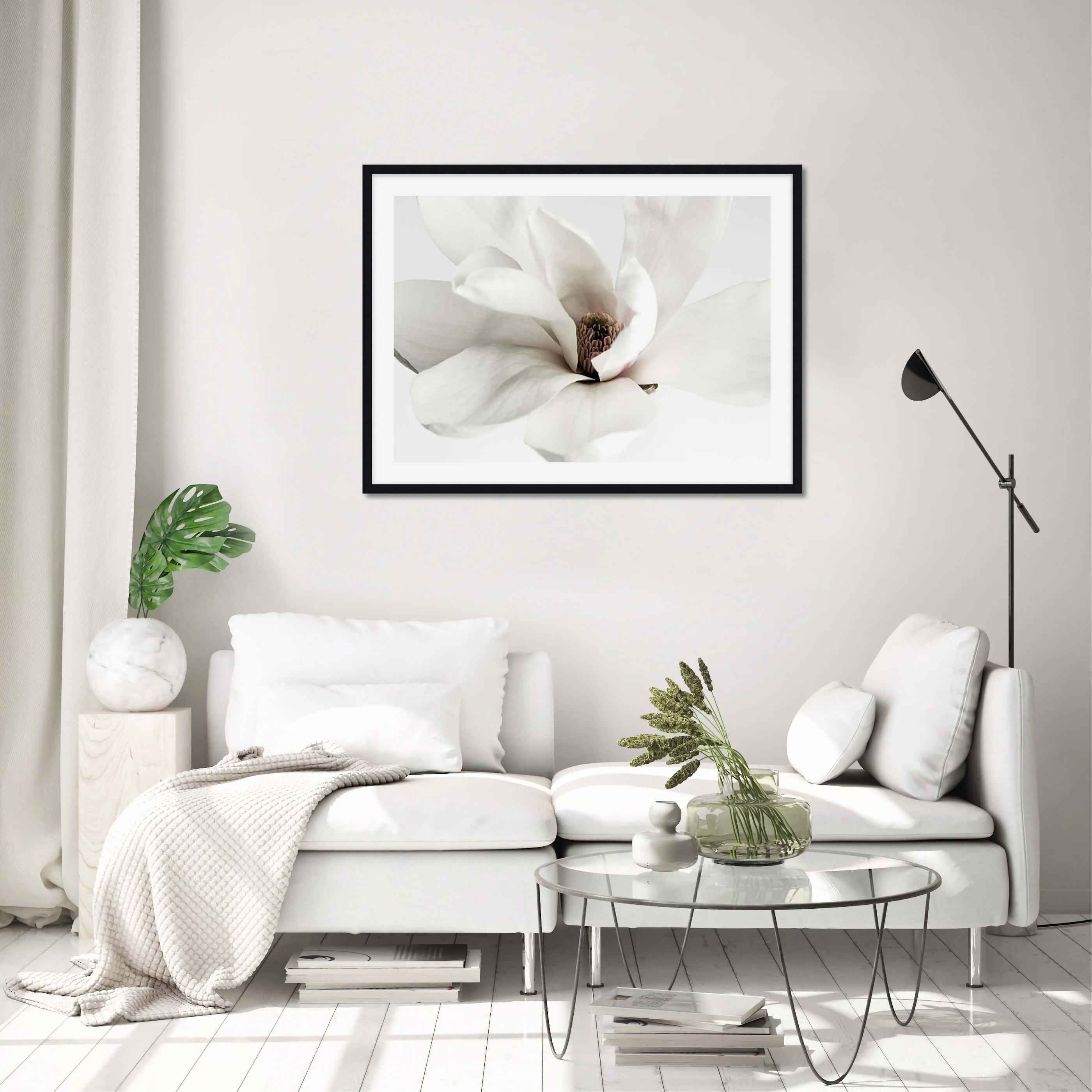 White Magnolia